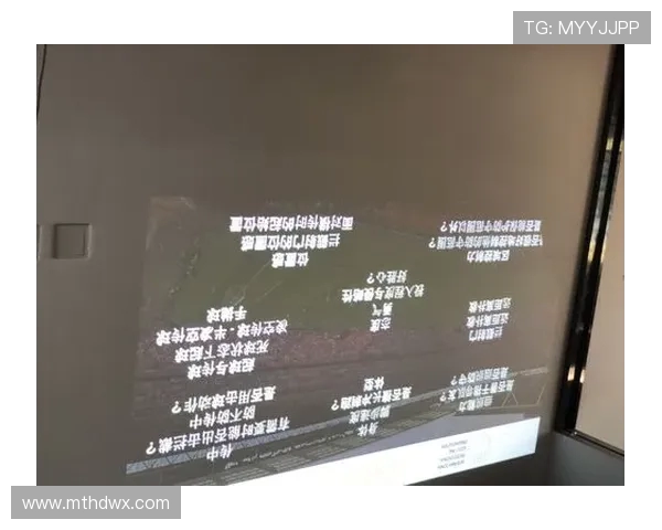 职业俱乐部球探网络的全球化覆盖效率分析